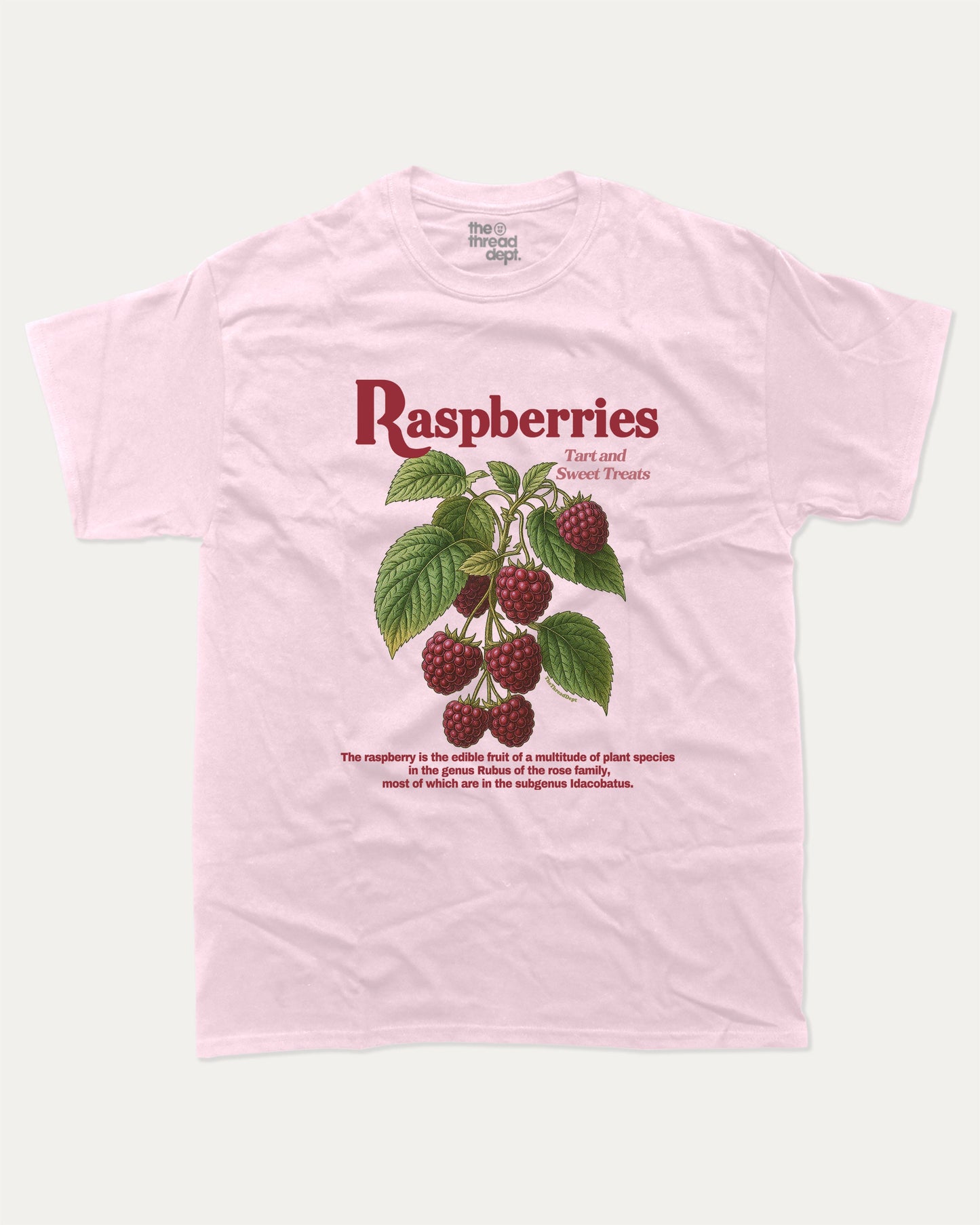 Vintage Raspberries graphic t-shirt, perfect for adults. Raspberry funny tee, trending raspberry shirt, unique gift idea. Pink.