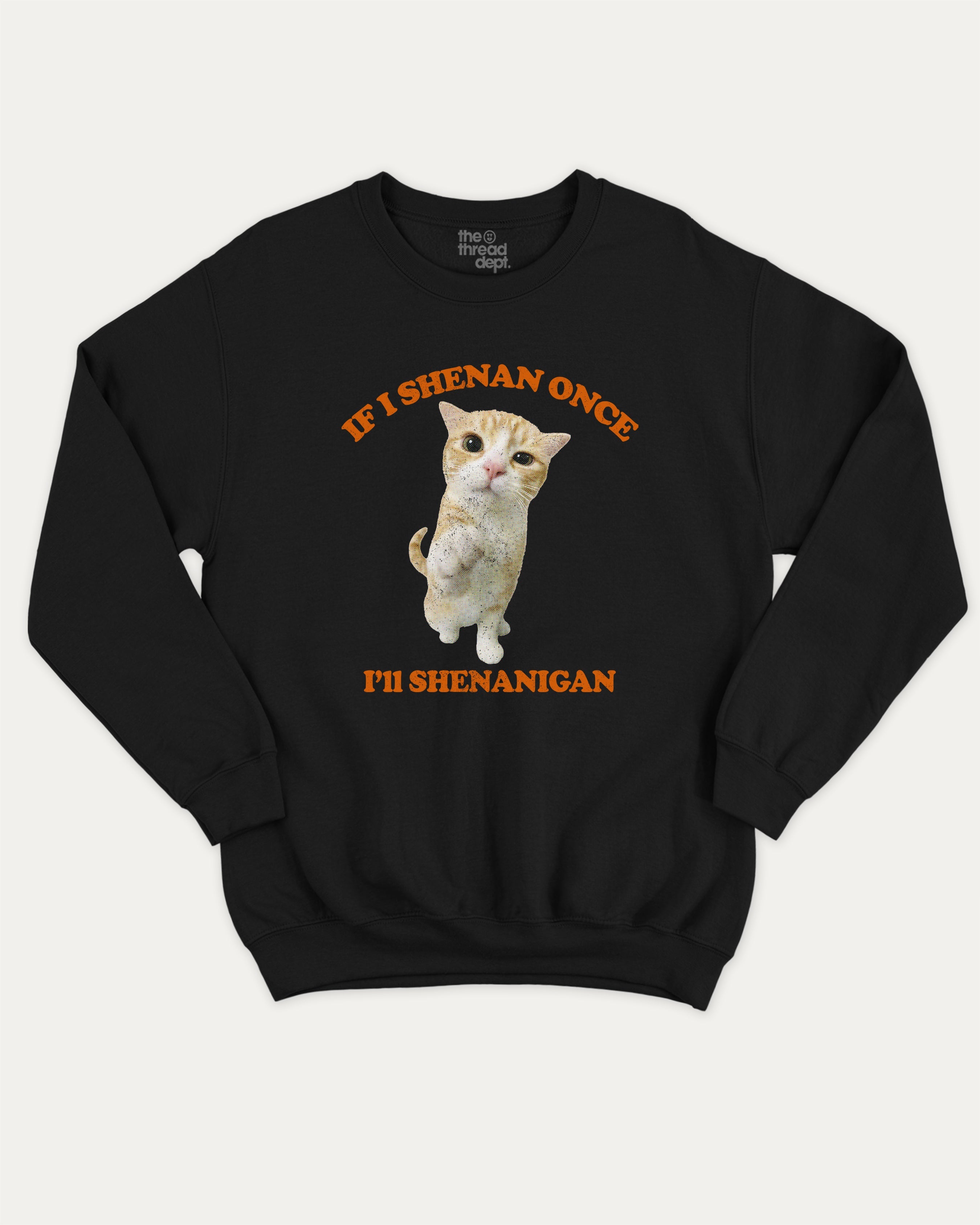 Cat Shenanigan graphic sweatshirt with bold and humorous print, Funny Meme Graphic T shirt, Cat meme Graphic T shirt, Animal Graphic T shirt, warm and cozy graphic for everyday wear. Perfect for adults and gift-giving. Black pullover.