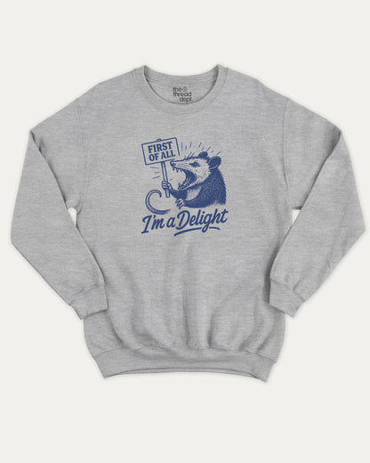 First Of All I'm A Delight Possum pullover sweatshirt, perfect for adults. A must-have possum graphic pullover, comfy cold-weather wear, bold casual look. Heather Grey sweater