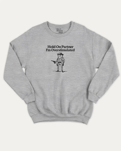 Hold On Partner I'm Overstimulated pullover sweatshirt, perfect for adults. Funny Frog graphic pullover, comfy cold-weather wear, bold casual look. Heather Grey sweater
