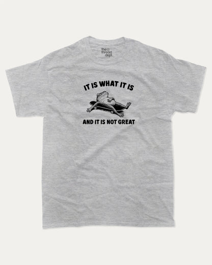 It Is What It Is And It Is Not Great graphic t-shirt, perfect for adults. A must-have funny Frog tee, trending meme shirt, unique gift idea. Heather Grey.