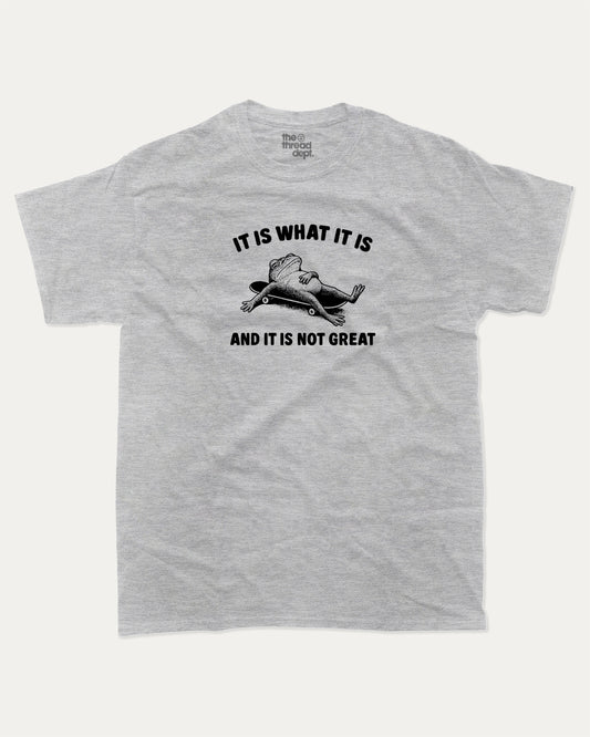 It Is What It Is And It Is Not Great graphic t-shirt, perfect for adults. A must-have funny Frog tee, trending meme shirt, unique gift idea. Heather Grey.