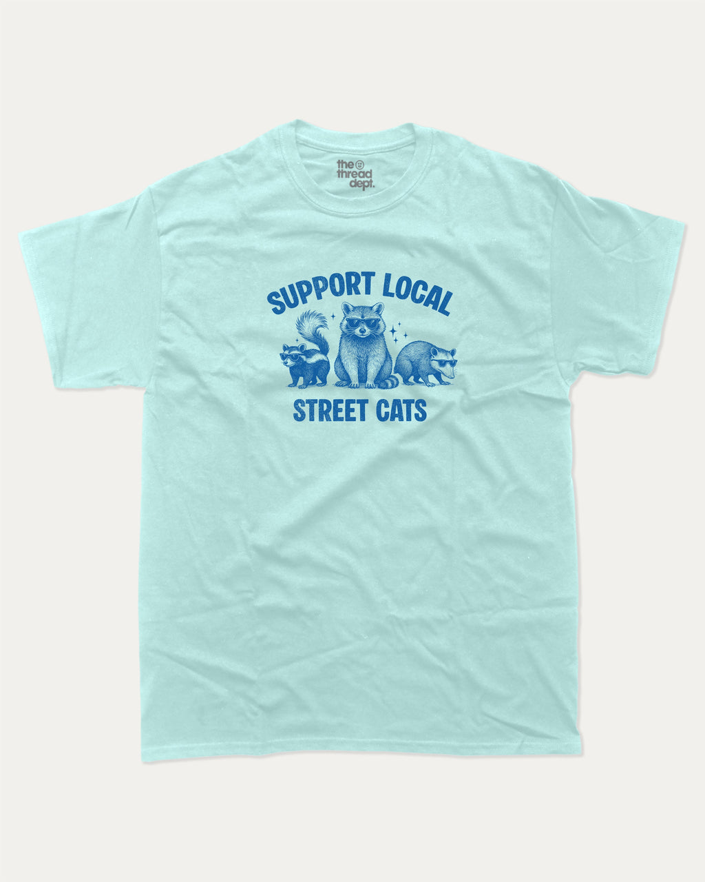 Support Local Street Cats graphic tee with bold and humorous print, Perfect Gift for Cat Lover, Cat Person Graphic T shirt,  funny and trendy graphic. Perfect for adults and gift-giving. Celadon shirt.