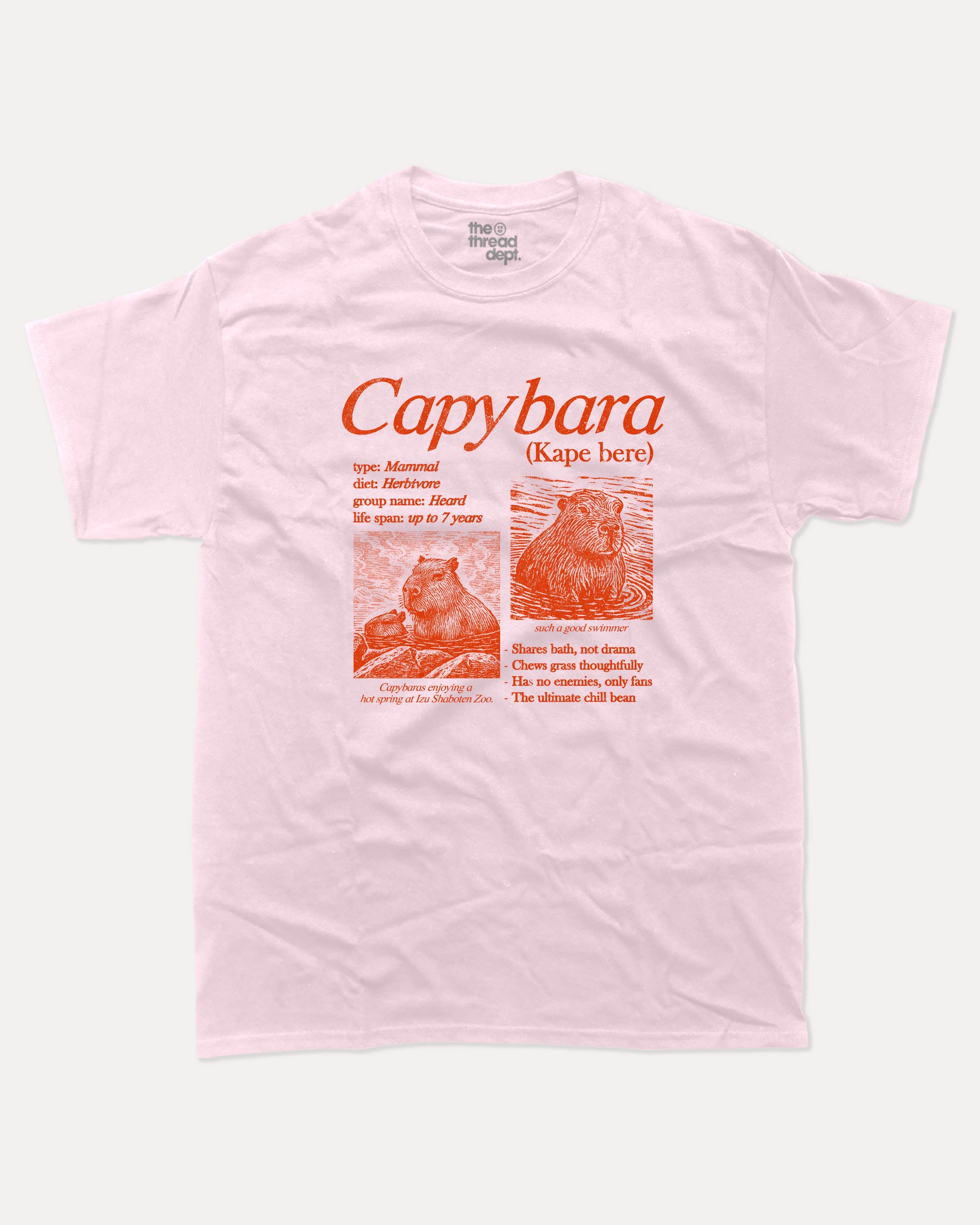 Vintage Capybara graphic tee with bold and humorous print, Funny Animal Graphic T shirt, Perfect Gift for Capybara Lovers, Cute Animal Graphic Tee, funny and trendy graphic. Perfect for adults and gift-giving. Pink shirt.