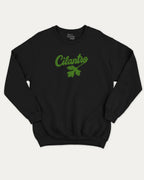 Cilantro graphic sweatshirt with bold and humorous print, Mexican Foods Graphic T shirt,  warm and cozy graphic for everyday wear. Perfect for adults and gift-giving. Black pullover.
