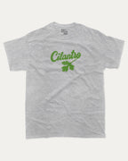 Cilantro graphic tee with bold and humorous print, Mexican Foods Graphic T shirt,  funny and trendy graphic. Perfect for adults and gift-giving. Heather Grey shirt.