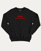 404 Not Found pullover sweatshirt, perfect for friends. A must-have graphic pullover, comfy cold-weather wear, bold casual look. Black sweater