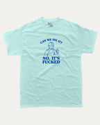 Can We Fix It graphic tee with bold and humorous print, funny and trendy graphic. Perfect for adults and gift-giving. Celadon shirt.