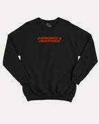 Overworked and Underfucked graphic sweatshirt with bold and humorous print, warm and cozy graphic for everyday wear. Perfect for adults and gift-giving. Black pullover.