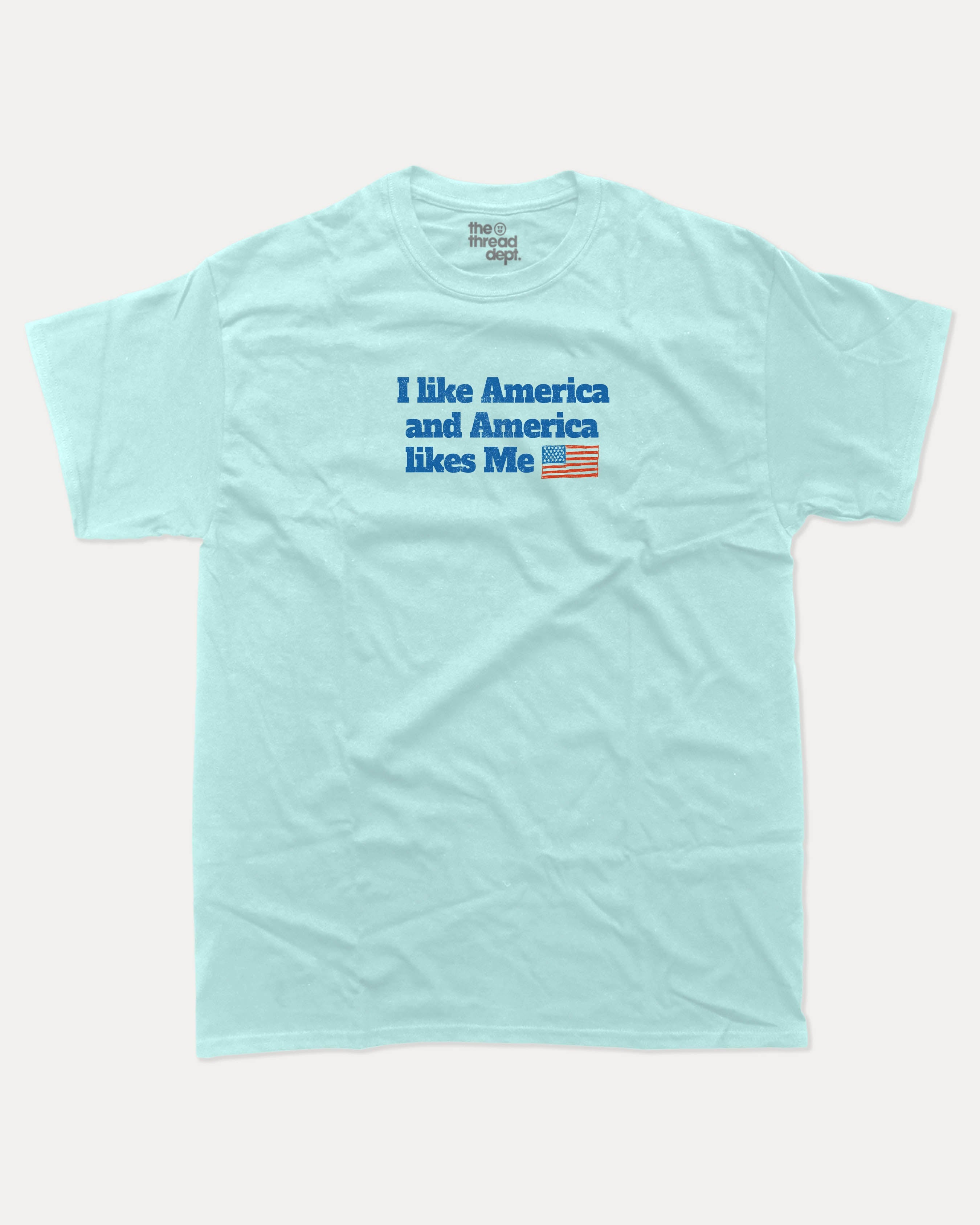 I like America and America likes me graphic tee with bold and humorous print, Perfect Gift for Patriotic People, funny and trendy graphic. Perfect for adults and gift-giving. Celadon shirt.