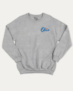 Good Days In Ohio graphic sweatshirt with bold and humorous print, warm and cozy graphic for everyday wear. Perfect for adults and gift-giving. Heather Grey pullover.
